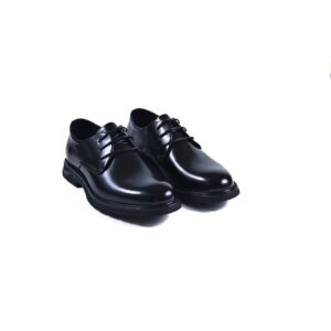 Elegant Men's Shoes, 111044
