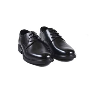 Elegant Men's Shoes, 146154